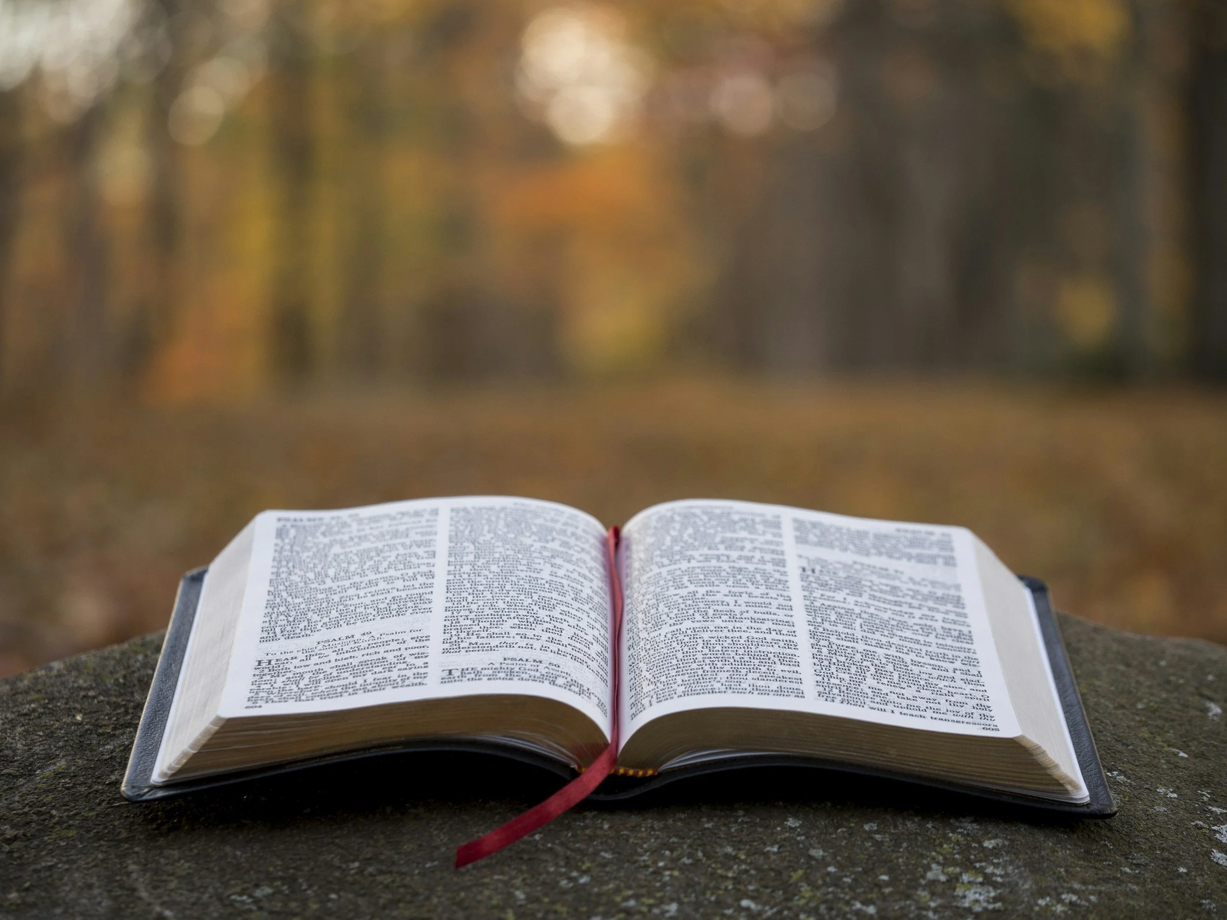 An open Bible outdoors